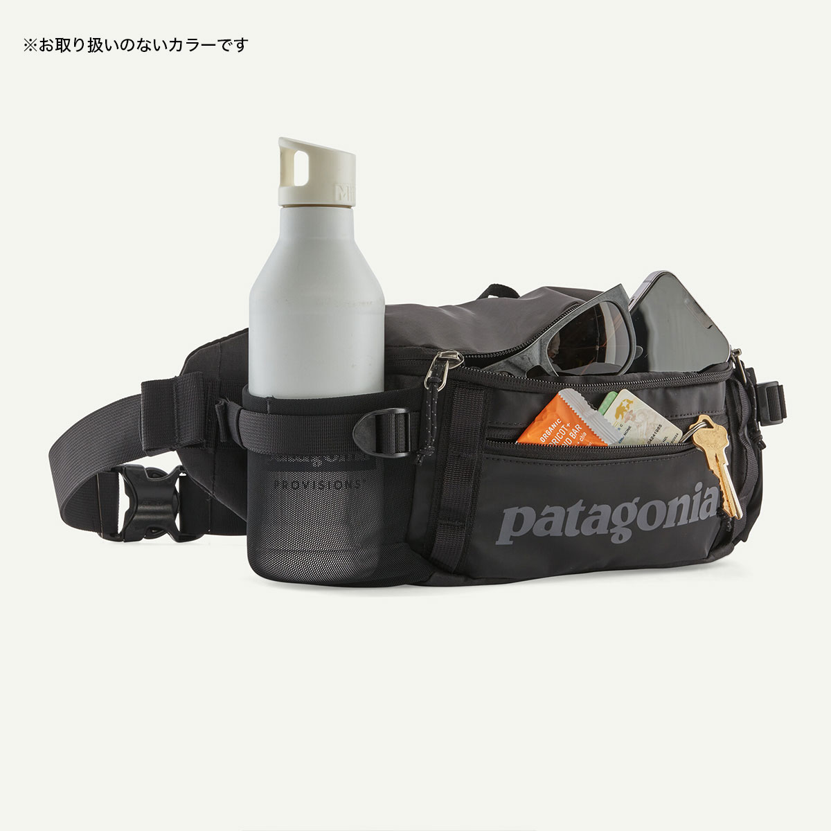 Patagonia パタゴニア ブラックホール ウエストバッグ 5L 内側
