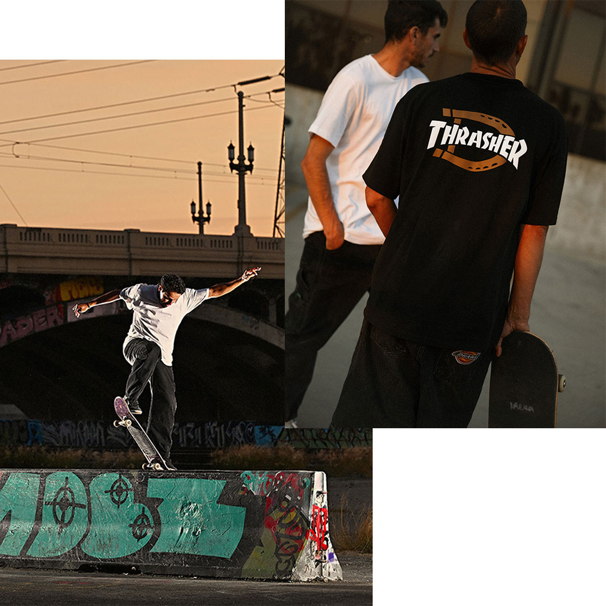 Dickies x Thrasher Double knee pants DK0A88OP