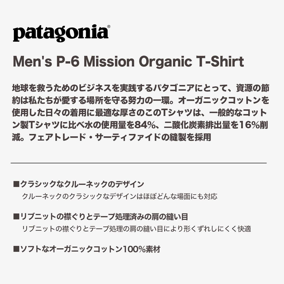 30%OFF＋10％OFFクーポン】Patagonia パタゴニア Tシャツ メンズ 半袖 ...