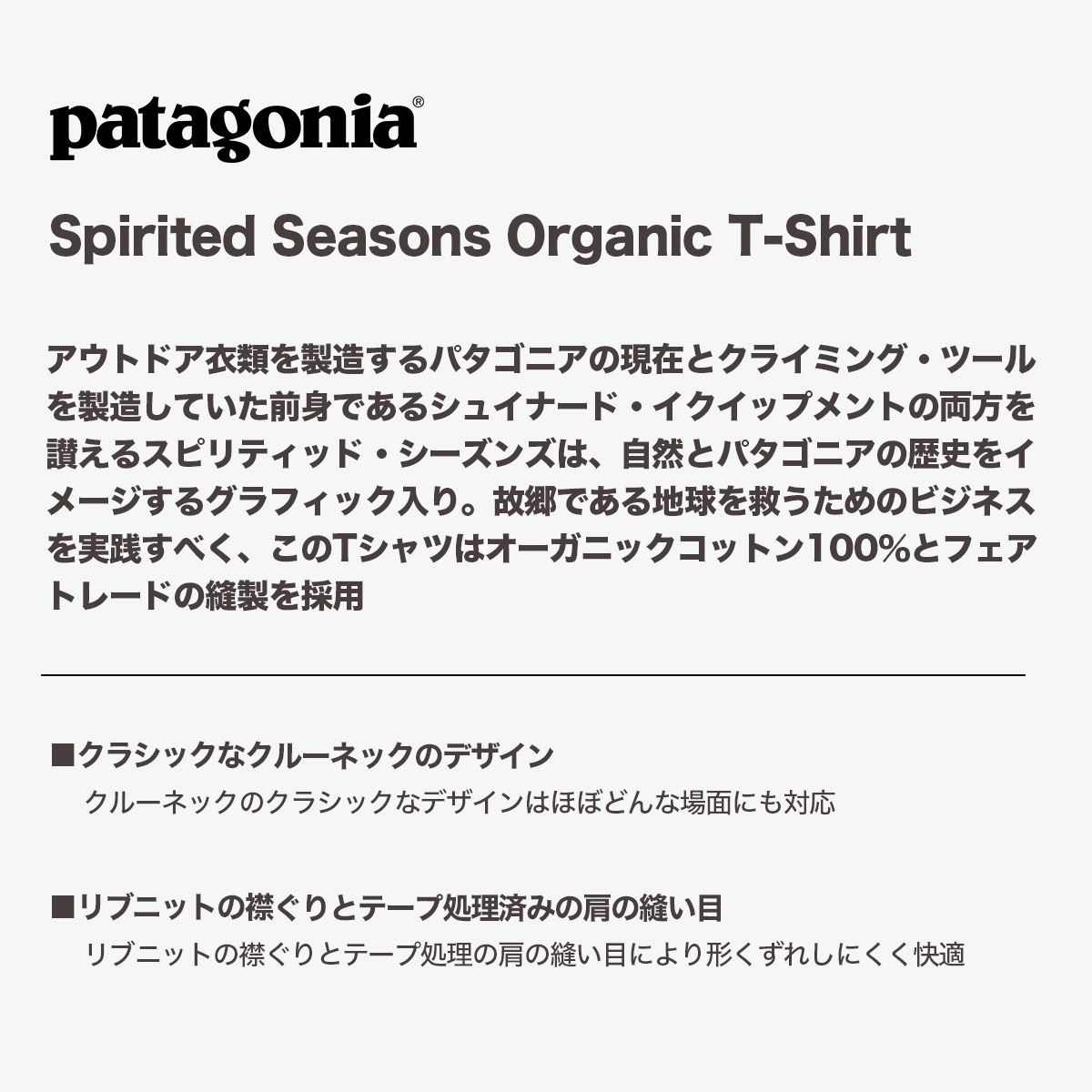 30%OFF ウィンターセール】Patagonia パタゴニア Tシャツ メンズ 半袖