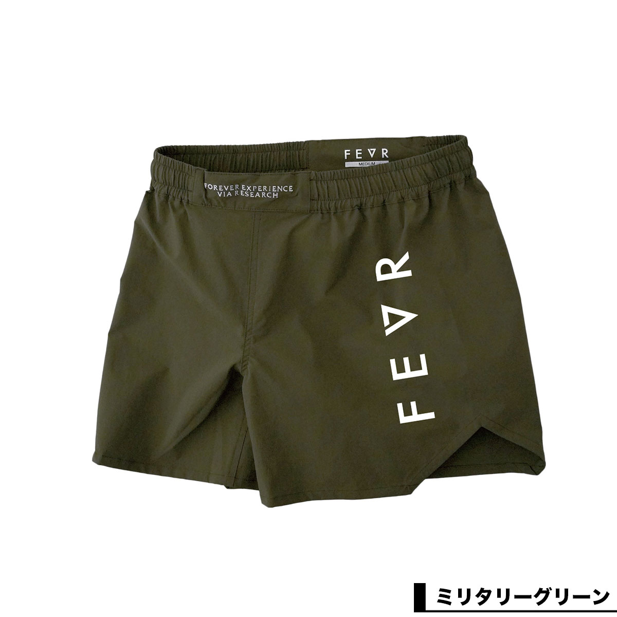 fe6s-f293-4.jpg
