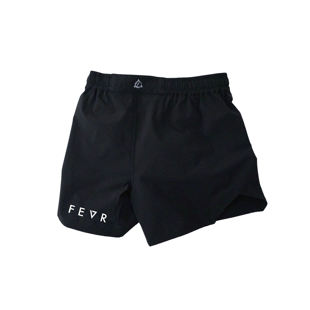 fe6s-f293-7.jpg