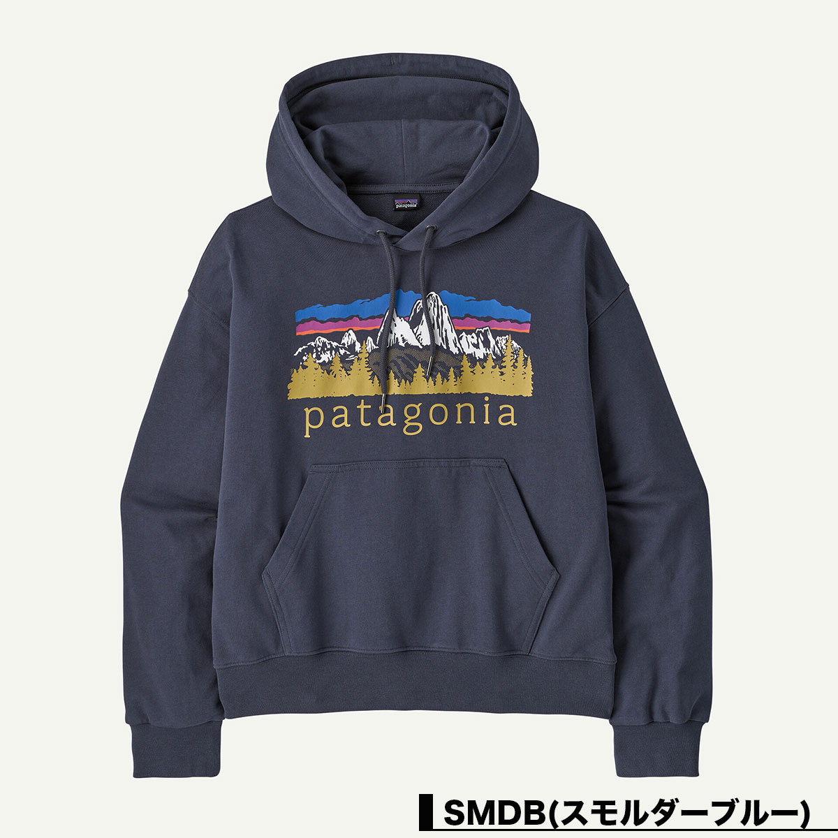 Patagonia パタゴニア レディース パーカー フーディー フィッツロイ