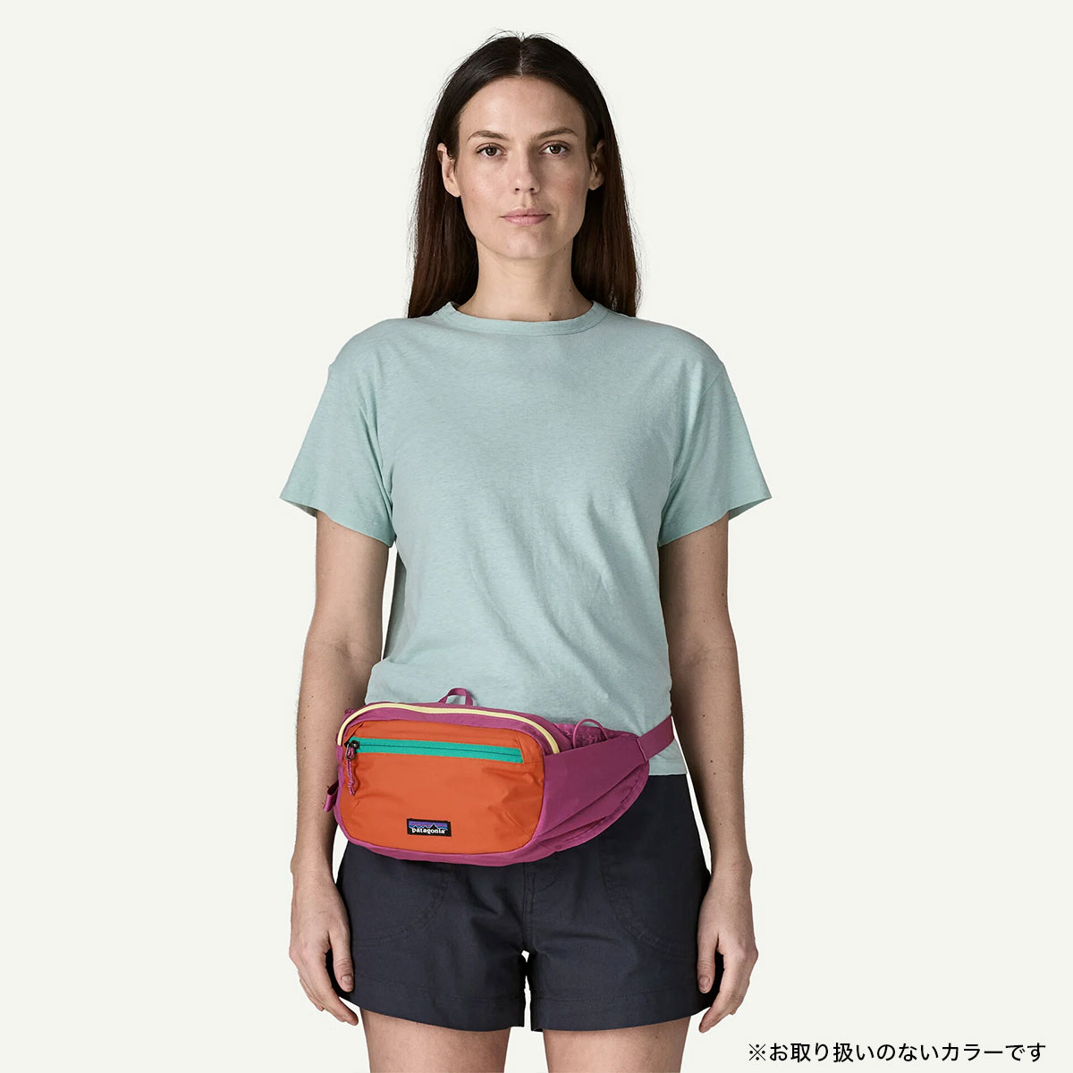 パタゴニア Patagonia ウエストポーチ ヒップバック 軽量 コンパクト