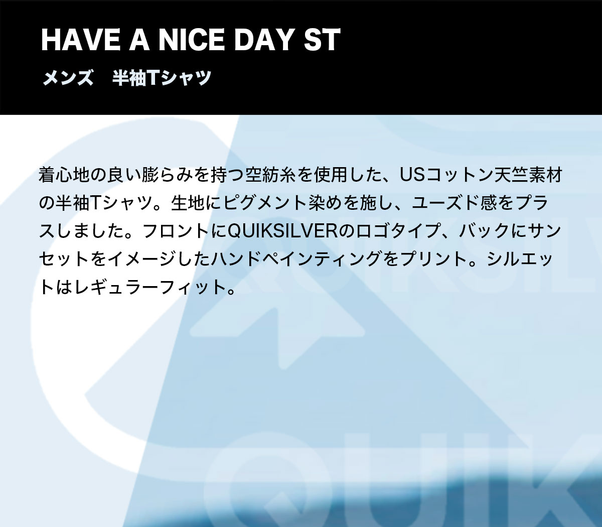 クイックシルバー Tシャツ 半袖 ティーシャツ メンズ バックプリント ロゴ HAVE A NICE DAY ST 全3色 サーフィン 人気ブランド  QUIKSILVER 新作【QST231010】-ジャックオーシャンスポーツ