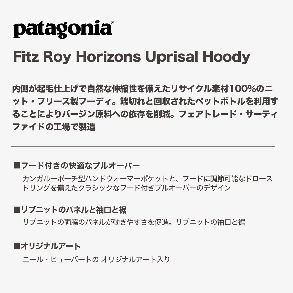 Patagonia パタゴニア パーカー 長袖 フード 裏起毛 定番 メンズ