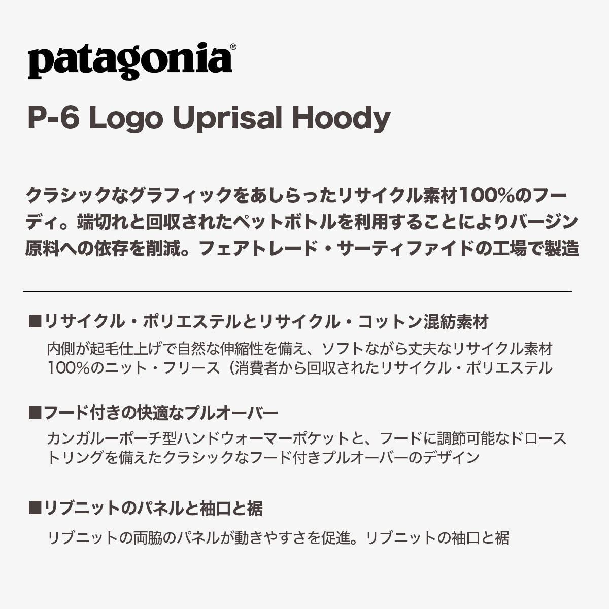 Patagonia パタゴニア パーカー 長袖 フード 裏起毛 定番 メンズ