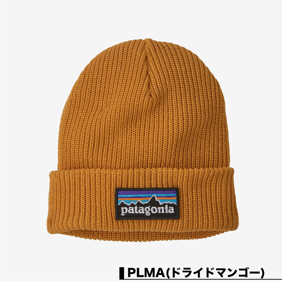 Patagonia パタゴニア ニットキャップ ビーニー 帽子 キッズ 子供