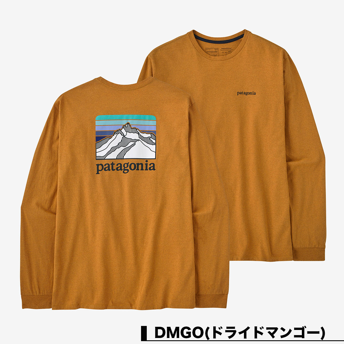 【20%OFF クリアランスセール】Patagonia パタゴニア ロンT 長袖 Tシャツ トップス メンズ バックプリント クルーネック サーフィン  釣り アウトドア キャンプ Men's Long-Sleeved Line Logo Ridge Responsibili-Tee 全2色 S M 