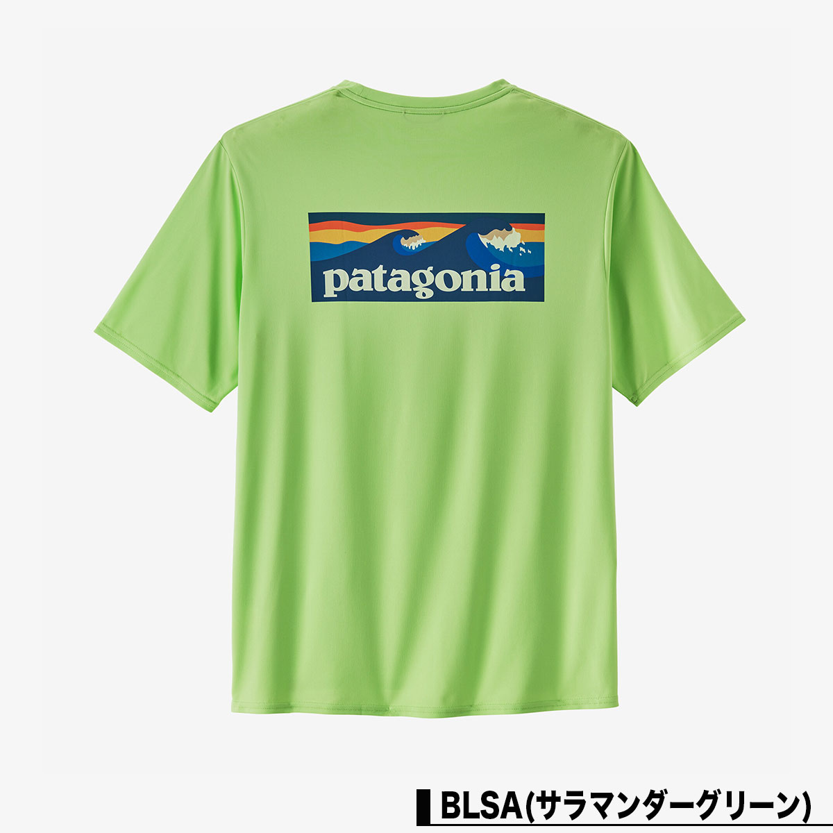 国内正規取扱店】Patagonia パタゴニア 半袖Tシャツ メンズ レディース