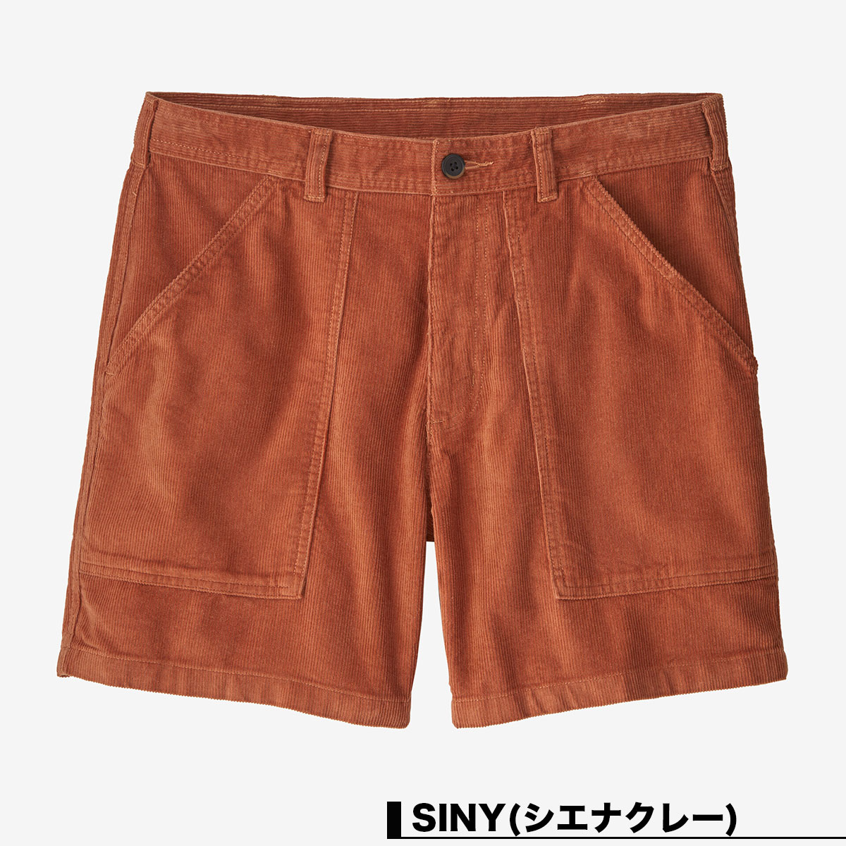 Patagonia パタゴニア トランクス メンズ 短パン ボトム ショート 