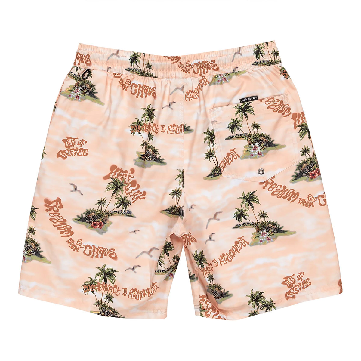 30%OFF セール】クイックシルバー メンズ 水着 ボードショーツ