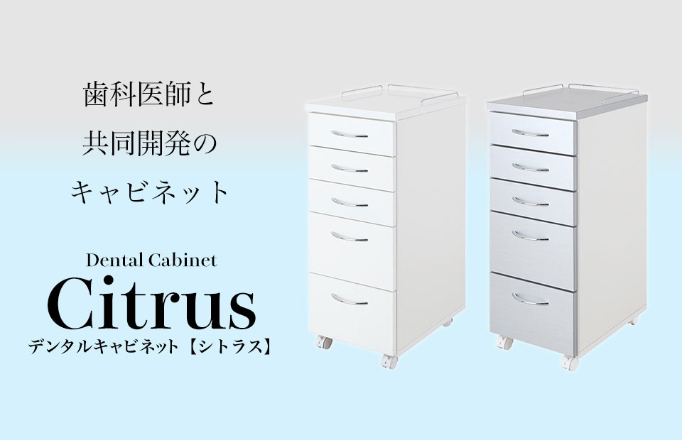 ʰդȶƱȯΥӥͥå-ȥ饹-Υ᡼