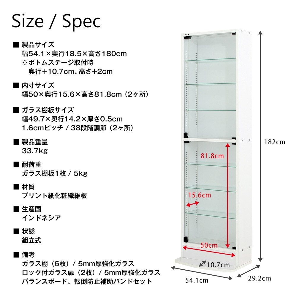 コレクションラック レギュラー ハイタイプ 幅55cm×奥行19cm 