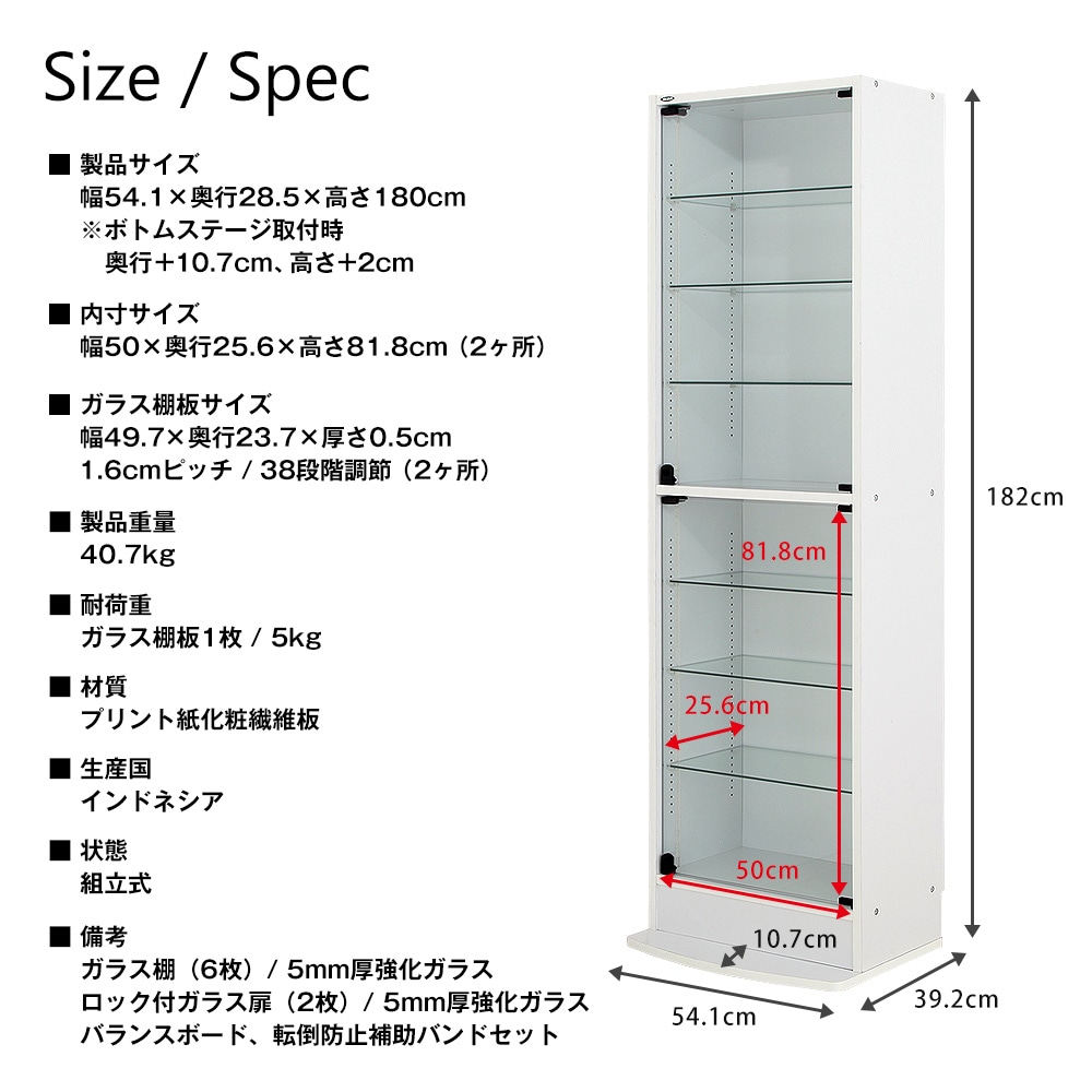 コレクションラック レギュラー ハイタイプ 幅55cm×奥行29cm