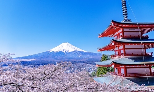 和風ノベルティ富士山