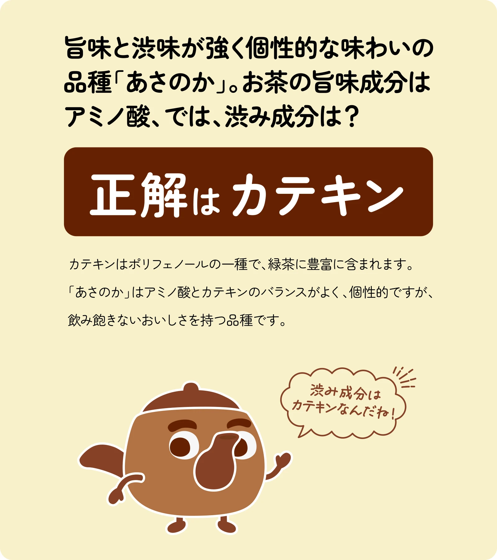 旨味と渋味が強く個性的な味わいの品種「あさのか」。お茶の旨味成分はアミノ酸、では、渋み成分は？カテキンはポリフェノールの一種で、緑茶に豊富に含まれます。「あさのか」はアミノ酸とカテキンのバランスがよく、個性的ですが、飲み飽きないおいしさを持つ品種です。
