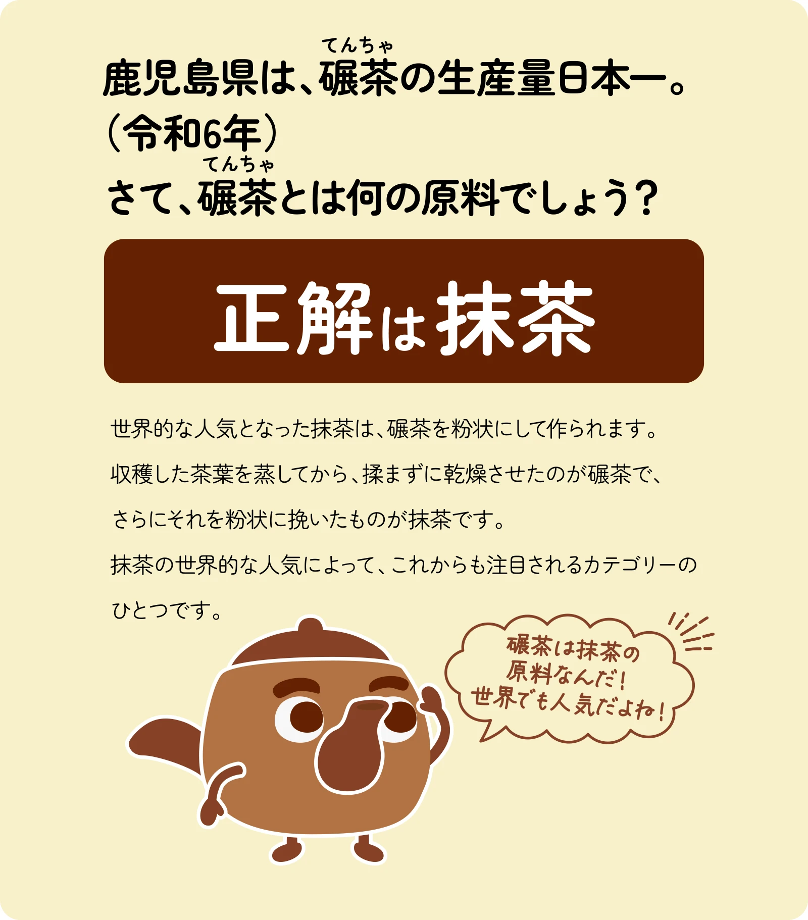鹿児島県は、碾茶の生産量日本一。（令和6年）さて、碾茶とは何の原料でしょう？世界的な人気となった抹茶は、碾茶を粉状にして作られます。収穫した茶葉を蒸してから、揉まずに乾燥させたのが碾茶で、さらにそれを粉状に挽いたものが抹茶です。抹茶の世界的な人気によって、これからも注目されるカテゴリーのひとつです。