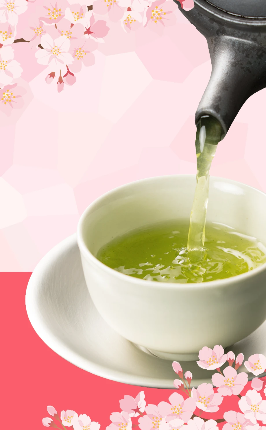 2026年 新茶予約販売のお知らせ！（公式通販サイト限定商品有！）