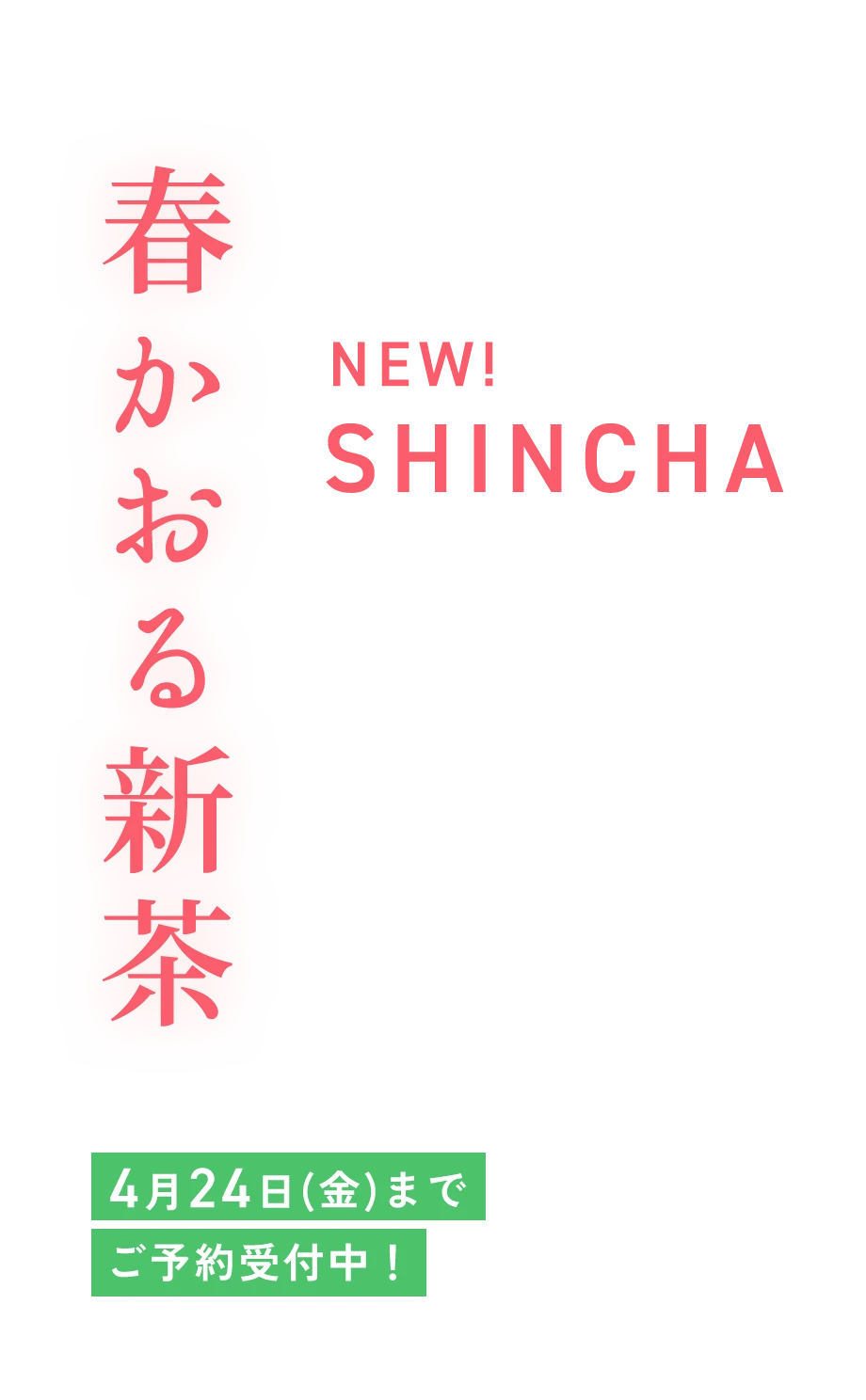 春かおる新茶 4月24日（金）までご予約受付中！