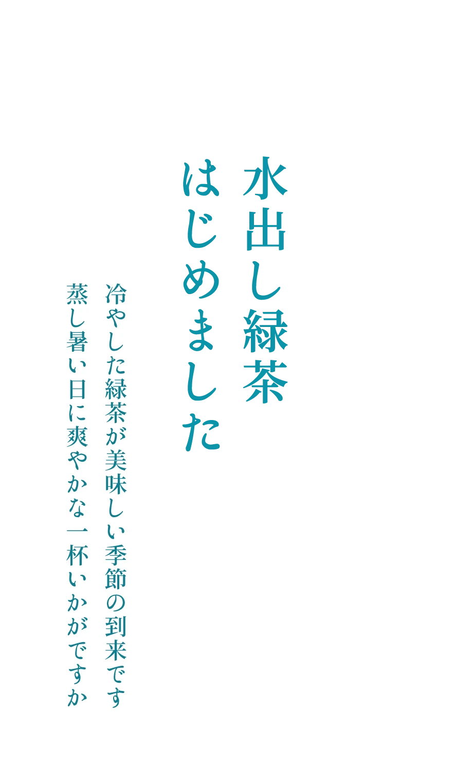 水出し緑茶はじめました