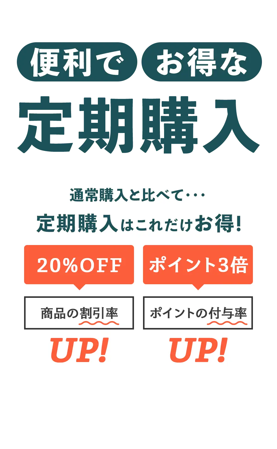 鹿児島茶 知覧茶 お茶の通販｜JA茶房 さつま路[公式]オンラインショップ