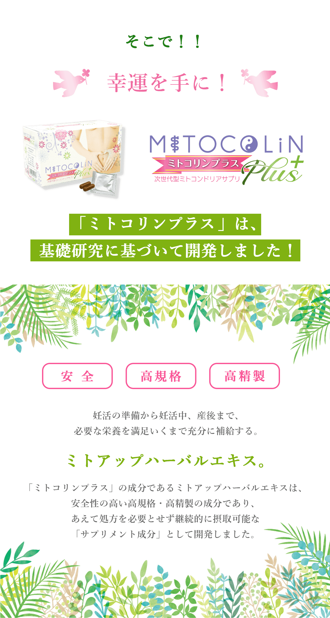 ミトコンドリアの増殖と活性に基づく妊活サプリ「ミトコリンプラス