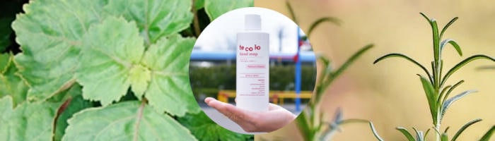 パチュリ＆ローズマリー