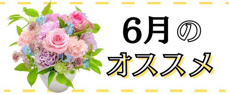 6��Υ�������