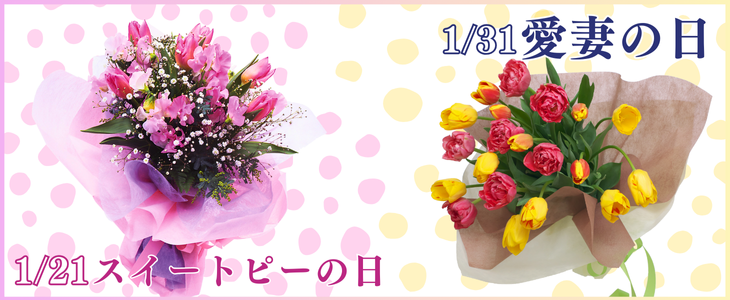 �������ȥԡ����������ʤ���