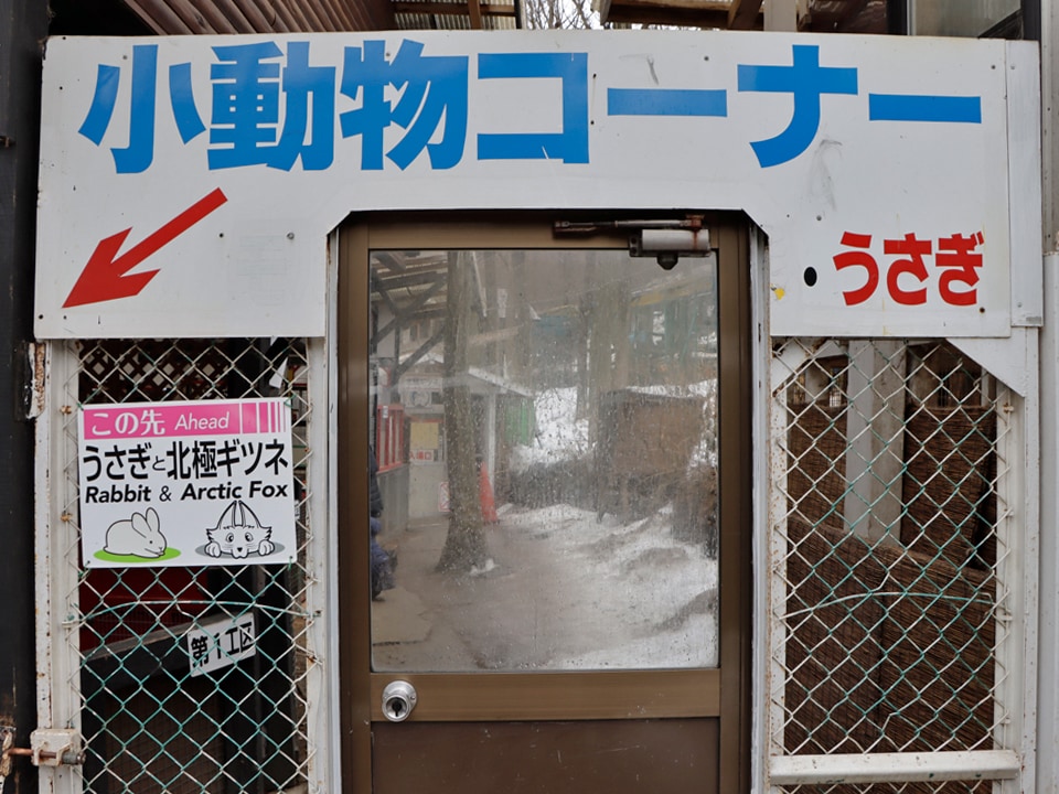 小動物コーナー