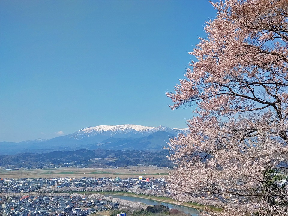 船岡城址公園5