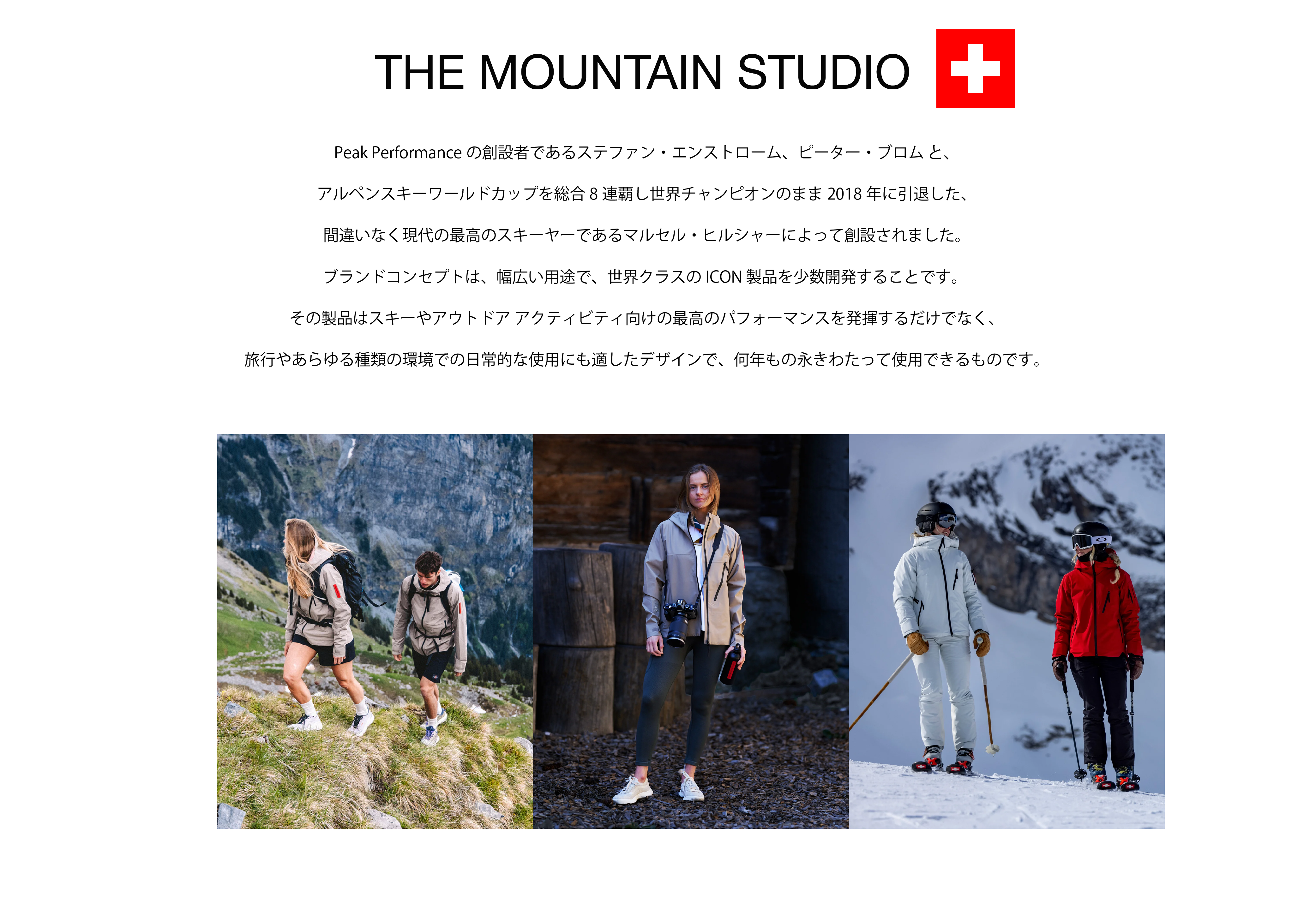 THE MOUNTAIN STUDIO