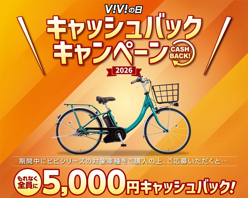 ViViの日