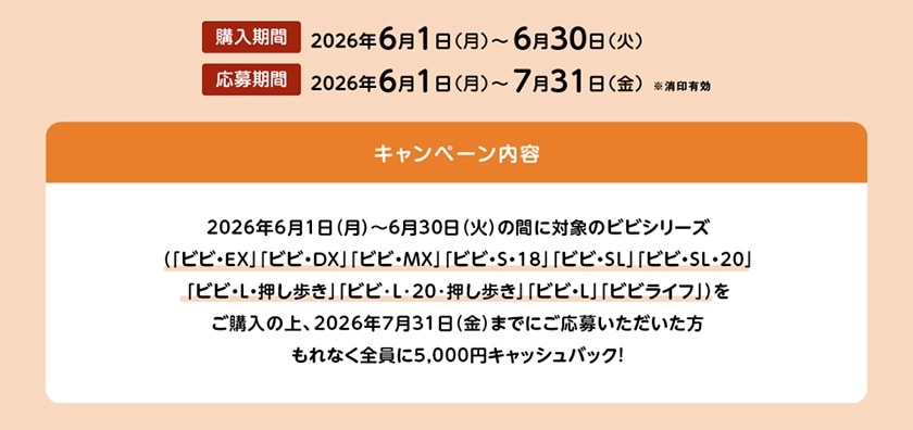 ViViの日応募期間