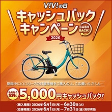 ViViの日キャンペーン