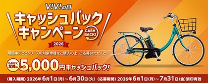 Panasonic パナソニック 電動自転車 ギュット・クルームR・EX 20インチ