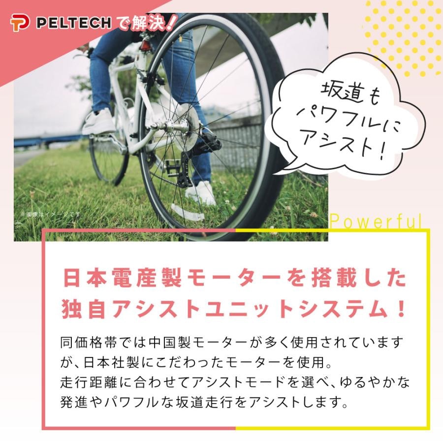 PELTECH ペルテック 電動自転車 折り畳み TDN-212L 20インチ 8Ah