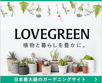 植物と暮らしを豊かに。LOVEGREEN 日本最大級のガーデニングサイト