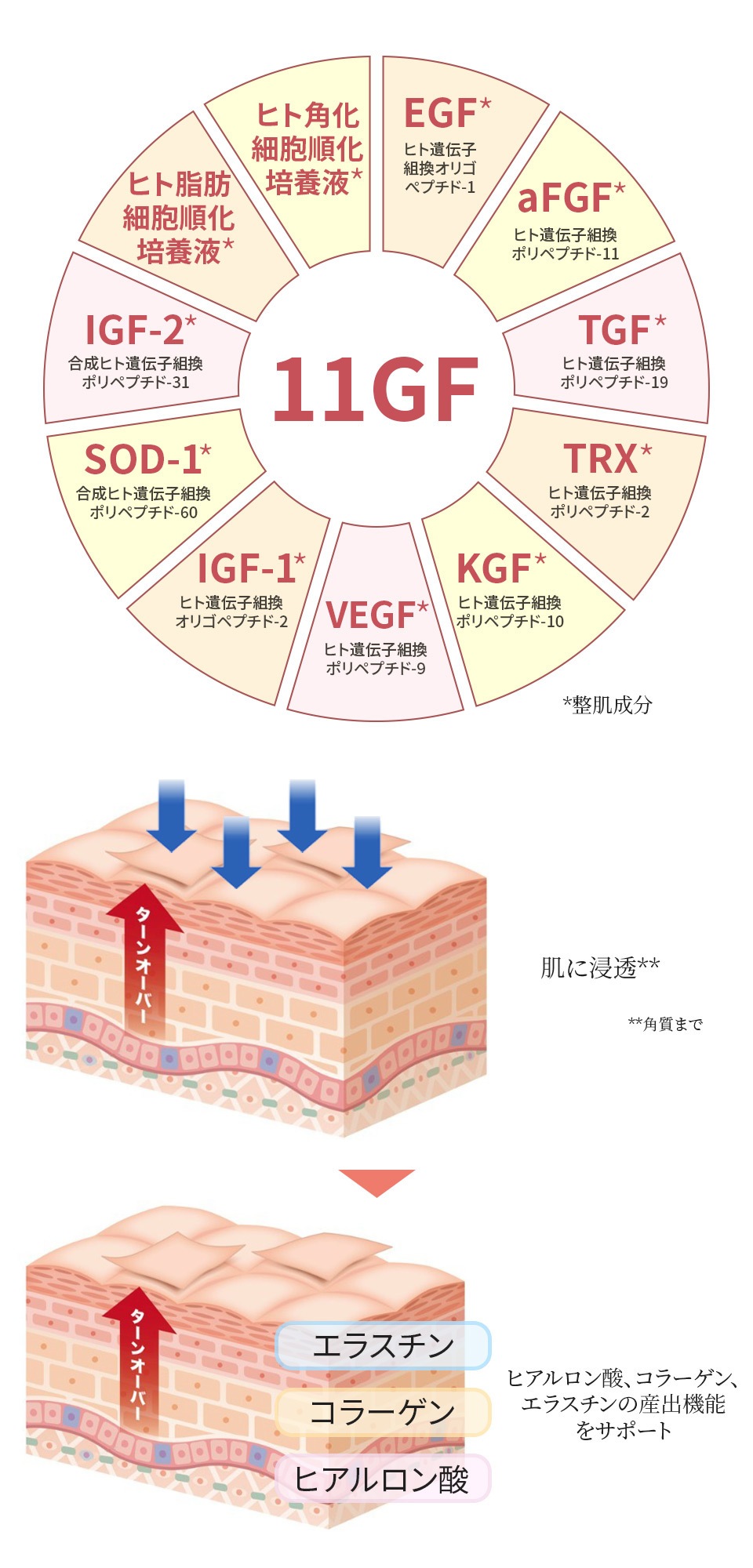 egf,fgf,kgf,vegf,igf-1,sod-1,igf-2,tgf,trxによる先進エイジングケアクリーム