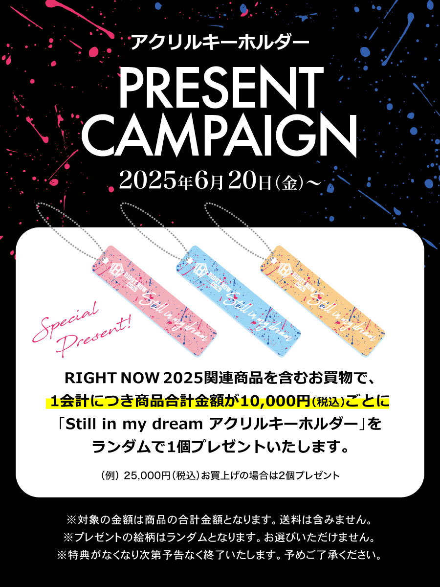 TEAM H������륭���ۥ�����ץ쥼��ȥ����ڡ���