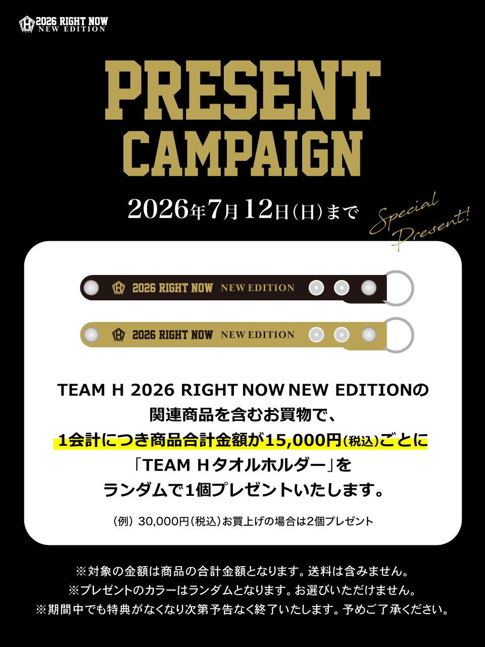 TEAM H�ץ쥼��ȥ����ڡ���
