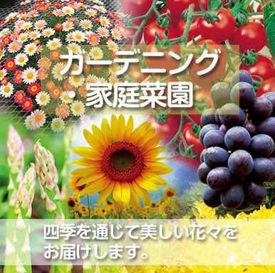ガーデニング・家庭菜園