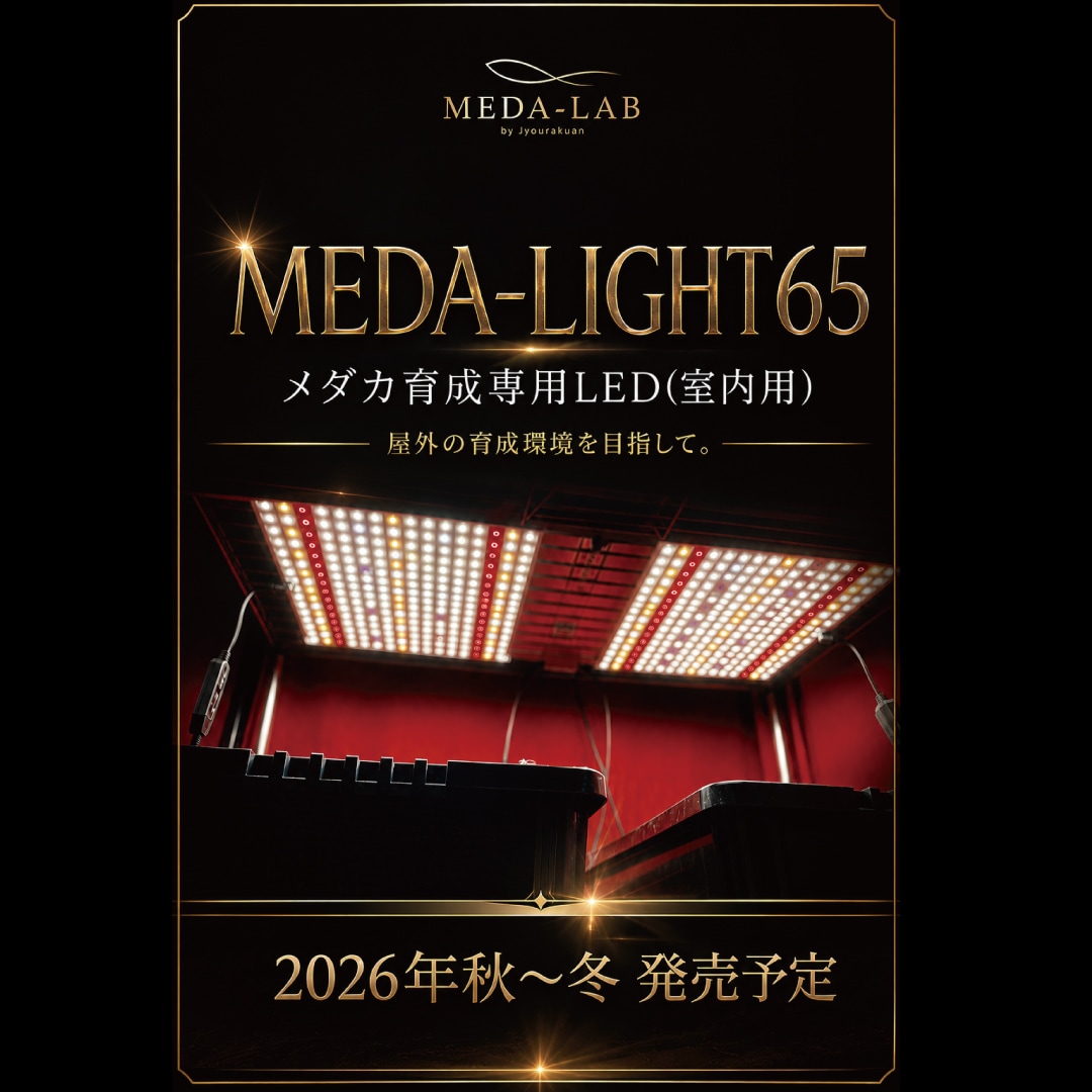 MEDA-LIGHT65