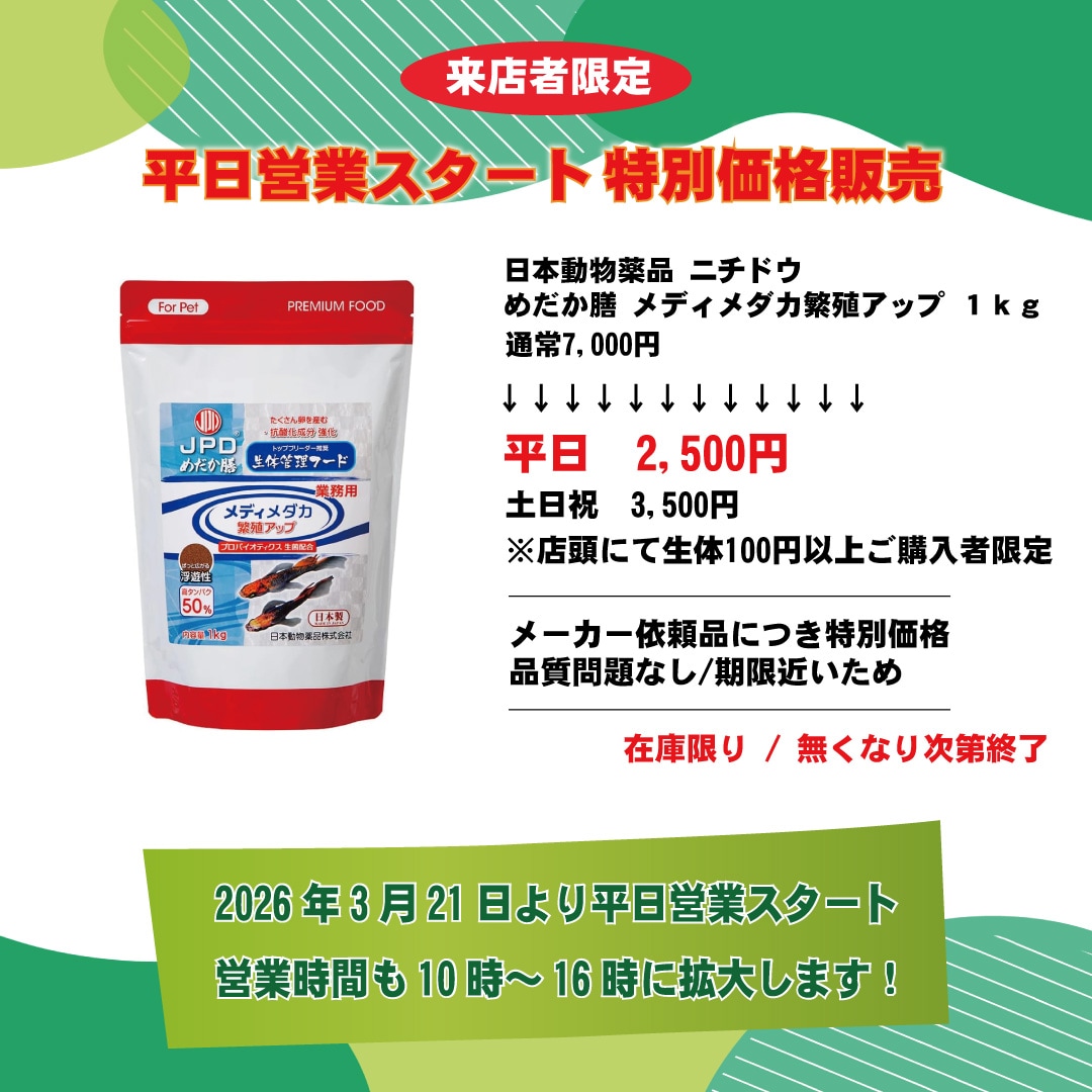 静楽庵 |