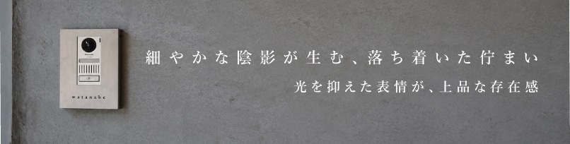 Hacoシルバー