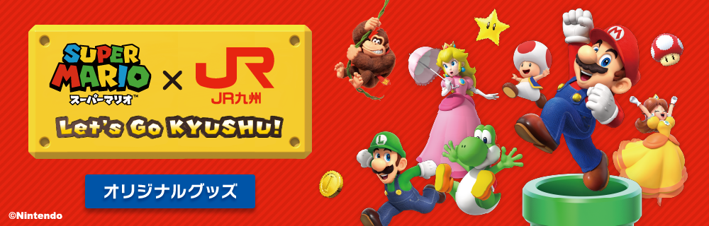 �ѥ������Ѥβ���