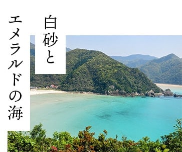 白砂とエメラルドの海