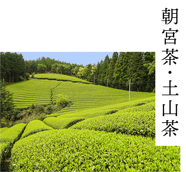朝宮茶・土山茶