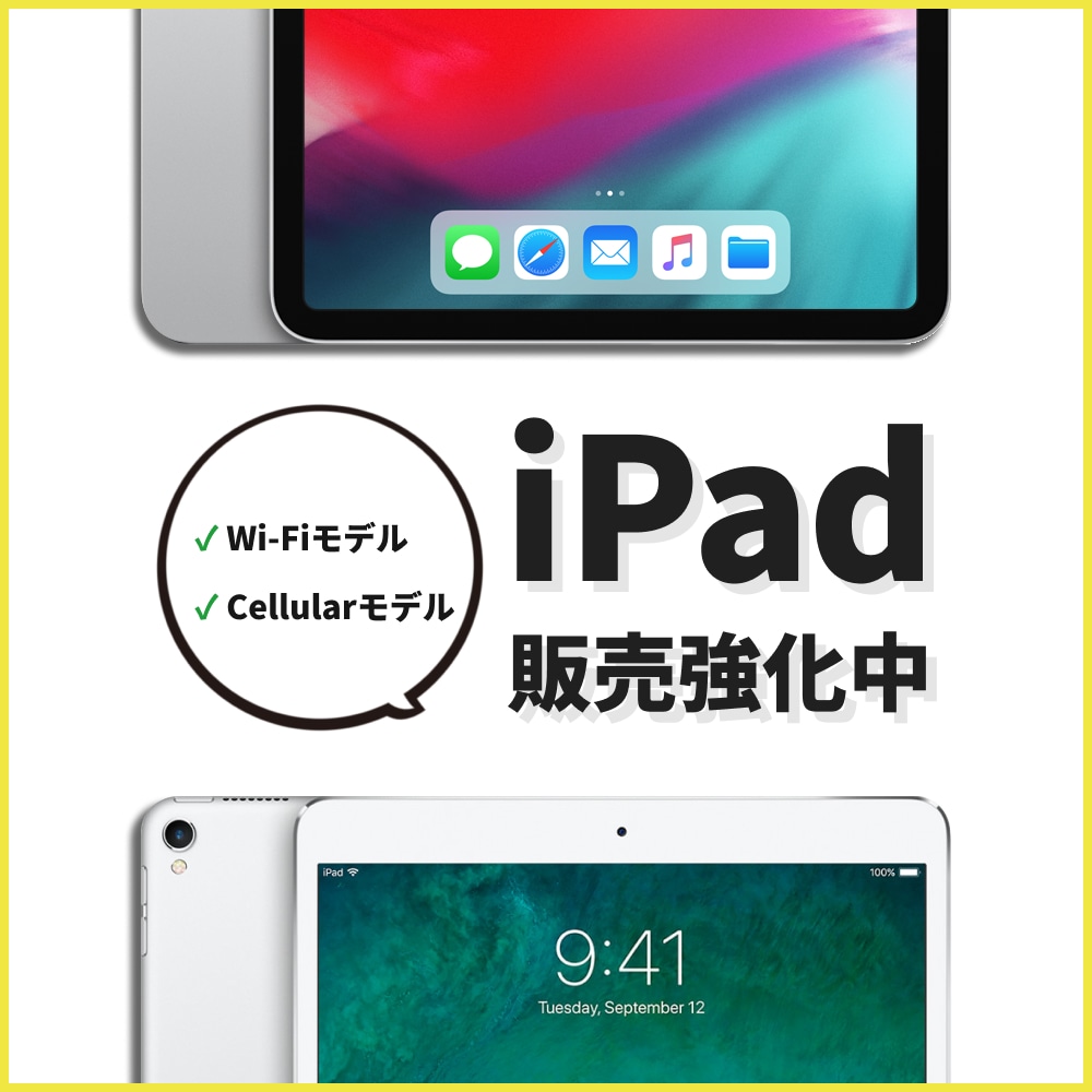 apple ipad wi-fi cellular 中古 Pro